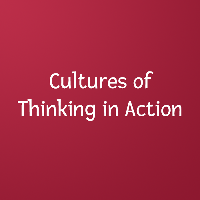 Cultures of thinking in action