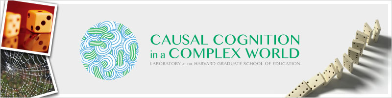 Causal Cognition in a Complex World banner