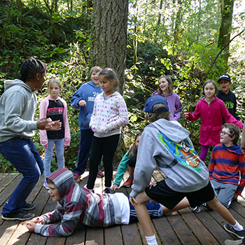 A group of students playing outside in a forest on a wooden deck.