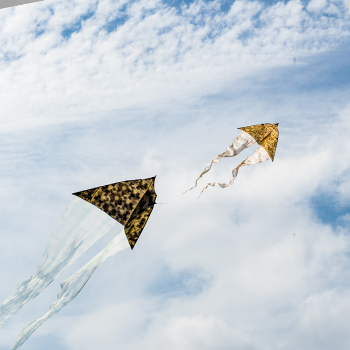 two kites flying in the sky