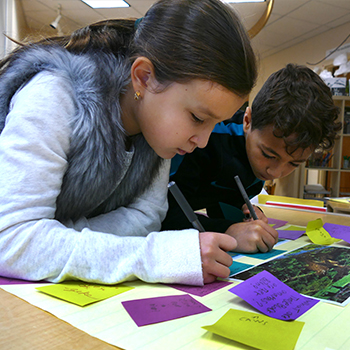 Students writing on post-it notes of various colors.