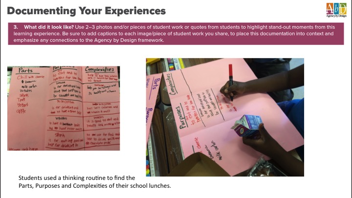 An image showing step 3 "What did it look like?" The image depicts a document where the students are recording a thinking routine to find the parts, purposes, and complexities of their school lunches.